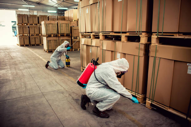 Best Termite Control Services  in Lakeland, GA
