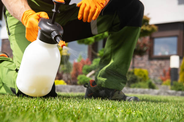 Best Local Pest Control Services  in Lakeland, GA