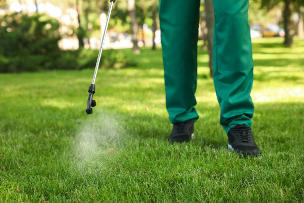 Best Emergency Pest Control  in Lakeland, GA
