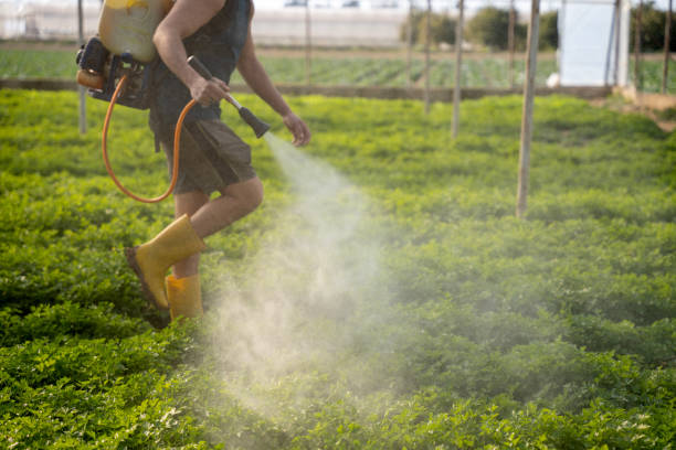 Best Residential Pest Control  in Lakeland, GA