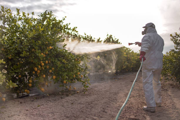Best Insect Control  in Lakeland, GA