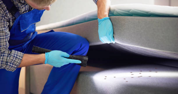 Best Best Pest Control Companies  in Lakeland, GA