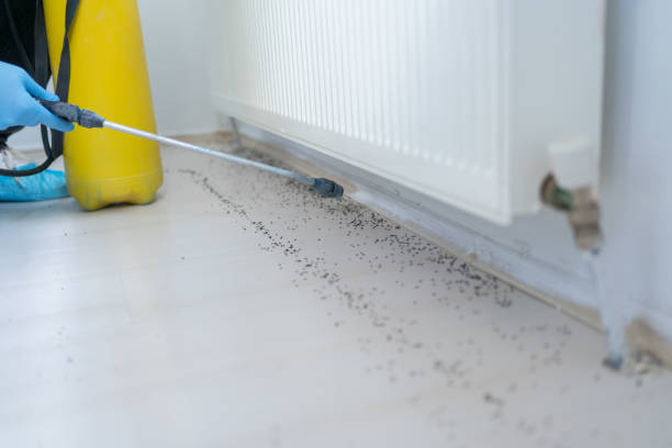 Best Wildlife Control Services  in Lakeland, GA