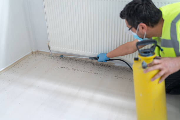 Best Affordable Pest Control Services  in Lakeland, GA