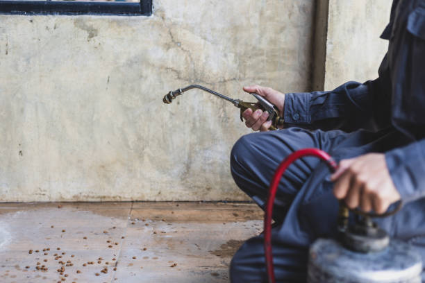 Best Wasp Removal Services  in Lakeland, GA