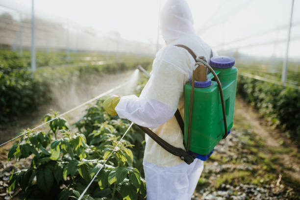 Best Flea Control Services  in Lakeland, GA